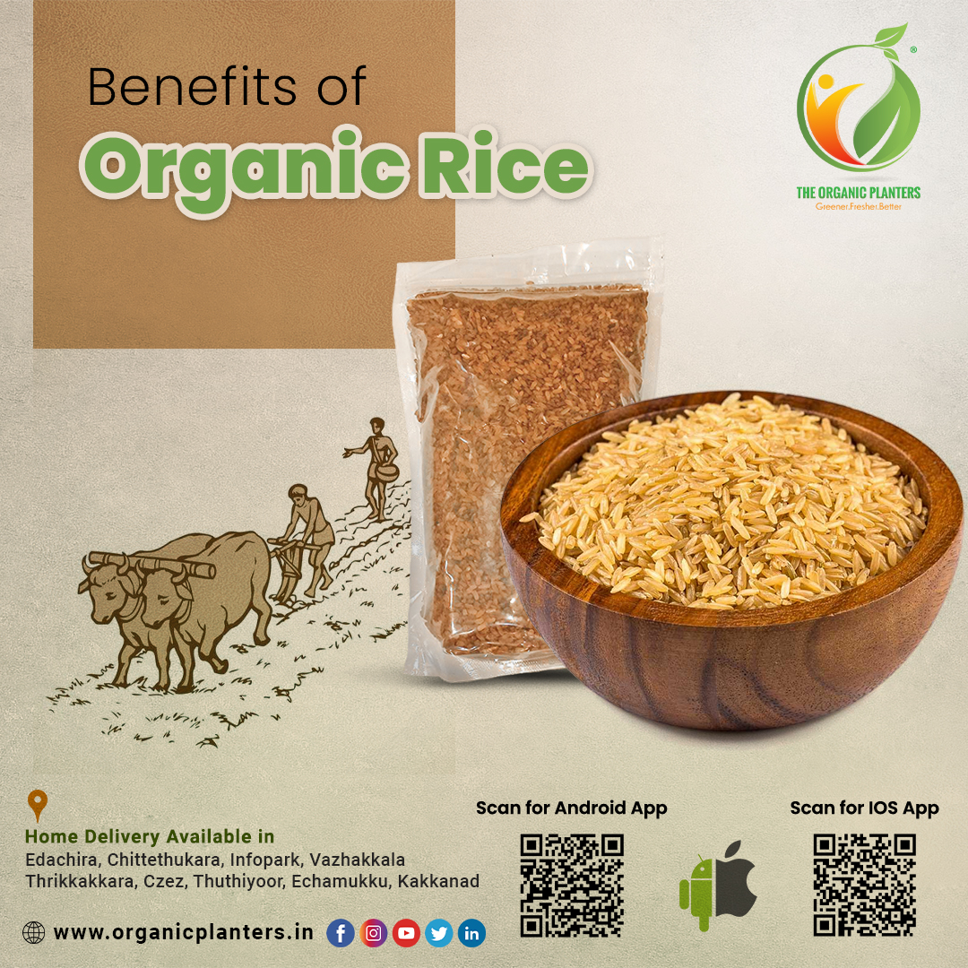 Know the benefits of organic rice